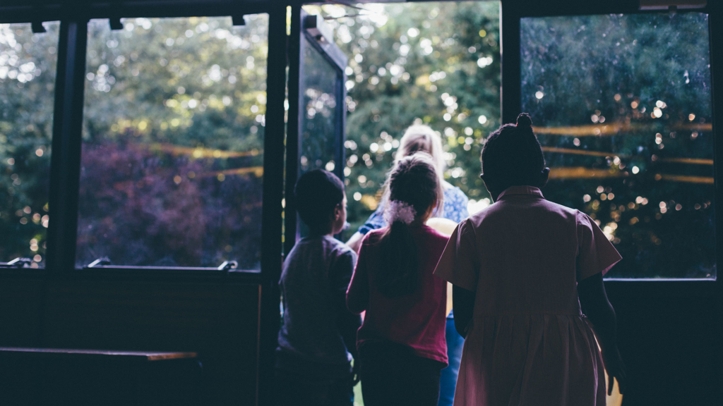 A culture of growth and multiplication