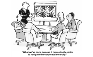 The Organizational Maze